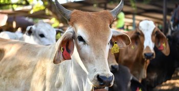 Gobierno de Tabasco invierte 6 millones en mantenimiento del Instituto Tecnológico Superior de los Ríos