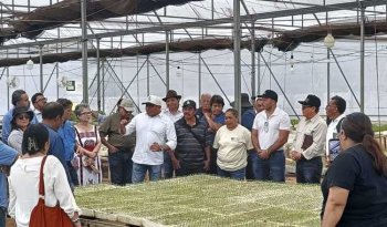 Productores de Yucatán impulsan denominación geográfica y tecnificación del chile Xcatik en recorrido por Muna