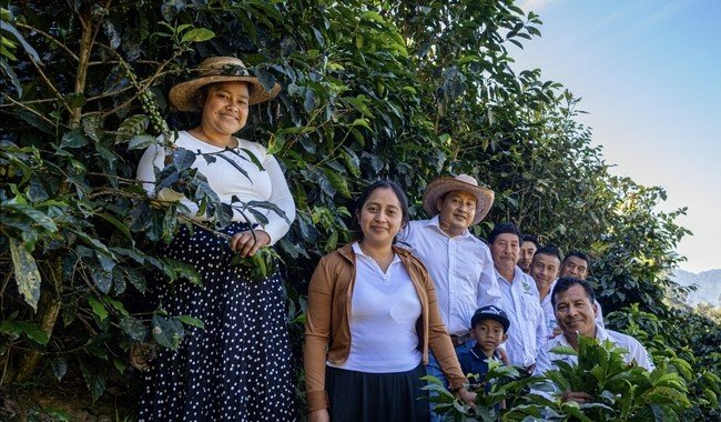 Sembrando Vida lleva a 19 productores ind&iacute;genas a feria org&aacute;nica BIOFACH 2026 en Alemania
