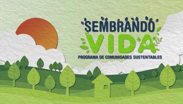 Sembrando Vida llevar&aacute; productos agroecol&oacute;gicos a Biofach 2026 y Fruit Logistica en Alemania