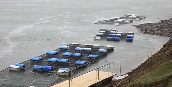 Gobierno de Tabasco entrega Centro de Desarrollo Comunitario DIF Pilares en Emiliano Zapata