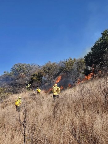 Coesfo reporta dos incendios controlados y dos activos en Oaxaca