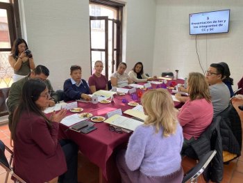 Guillermina Míreles Vallejo es electa coordinadora del Consejo Consultivo del SIPINNA en Zacatecas