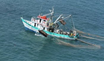 Conapesca actualiza certificado de captura para exportación pesquera a la Unión Europea