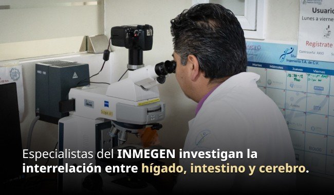 INMEGEN destaca la interrelación clave entre hígado, intestino y cerebro para la salud integral