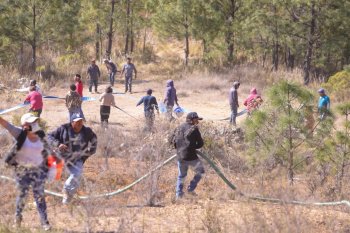Controlan incendio en Vicente Guerrero, Puebla; reportan 240 hectáreas afectadas