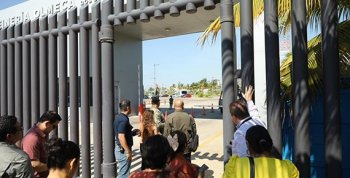 Entregan 100 paquetes de Crédito Ganadero a la Palabra en Tenosique para fortalecer la producción