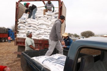 Entregan 145 toneladas de maíz a productores afectados por contingencias climáticas en Cadereyta de Montes