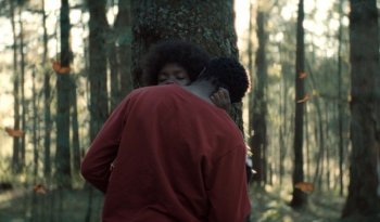 Nueve producciones mexicanas con apoyo gubernamental compiten en el Festival de Cine de Berlín 2026