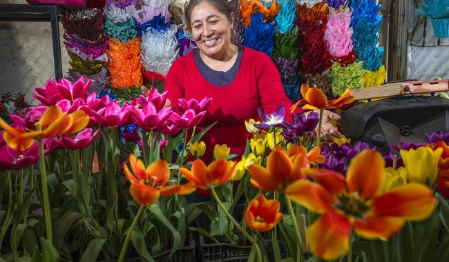 Agricultura reporta producci&oacute;n suficiente de rosas, gladiolas y gerberas para el 14 de febrero
