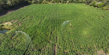 Gobierno de Tabasco destaca valor del periodismo local en aniversario del Diario Presente