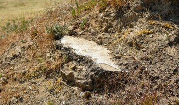 INAH inicia rescate arqueológico emergente en Tetlatlahuca, Tlaxcala, para proteger sitio prehispánico
