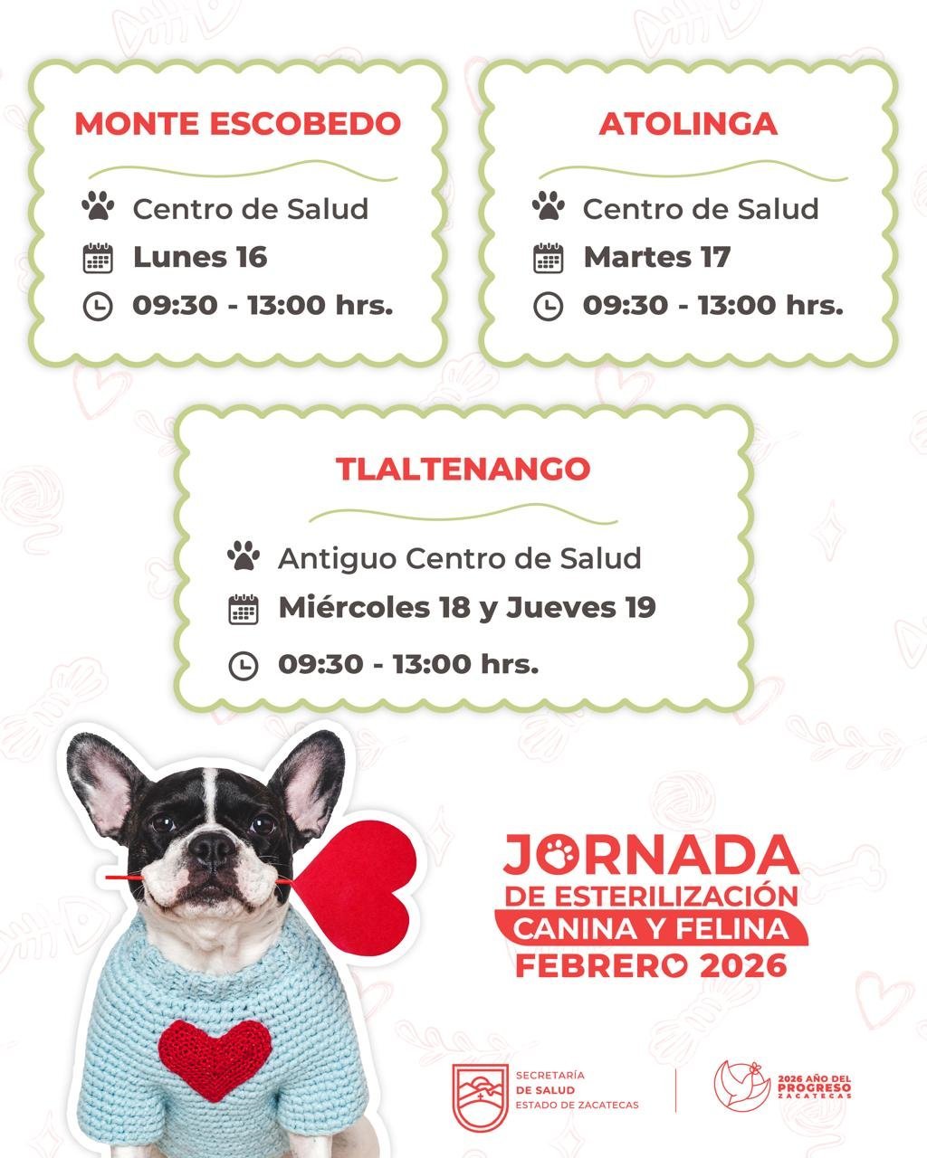 Secretaría de Salud de Zacatecas ofrece esterilizaciones gratuitas para perros y gatos en tres municipios