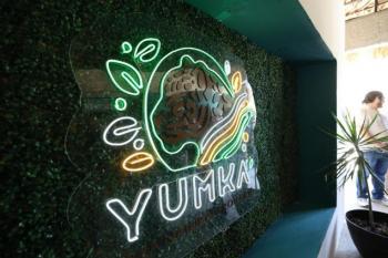 Leona africana se integra al Yumka como nuevo atractivo turístico y ecológico