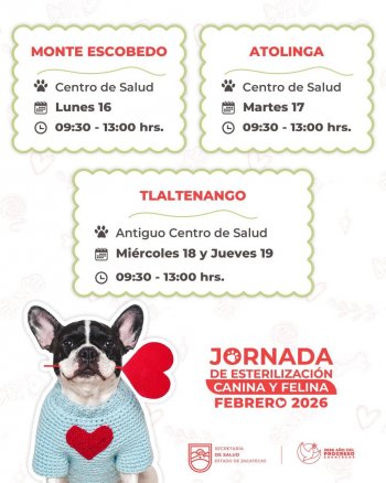 Secretaría de Salud de Zacatecas ofrece esterilizaciones gratuitas para perros y gatos en tres municipios