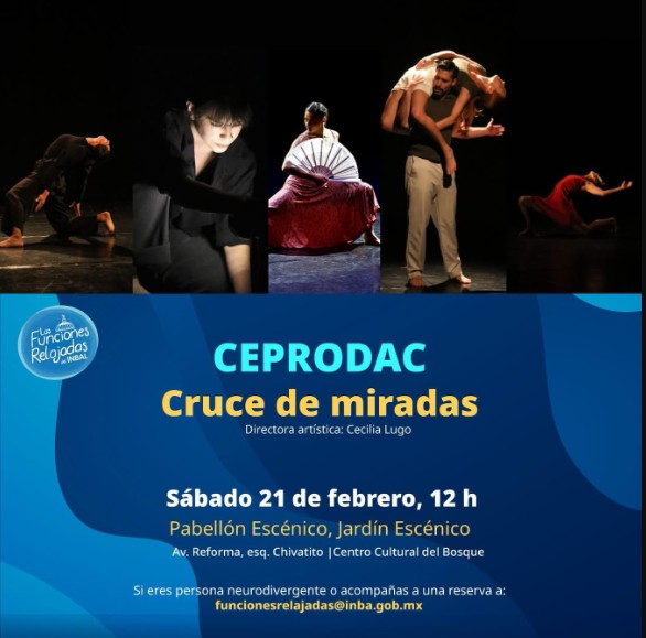 Cruce de miradas presenta función relajada con cinco piezas de danza accesibles para público neurodivergente