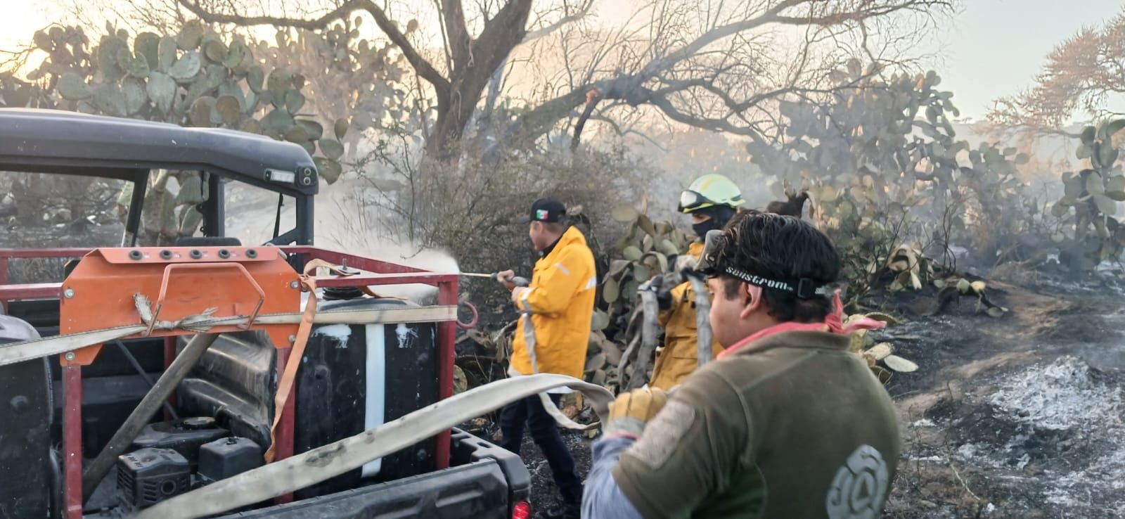Brigadas estatales avanzan en liquidaci&oacute;n de incendio en Mexquitic con apoyo de 269 personas