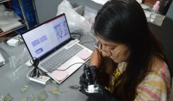 Laboratorio del Tren Maya en Chetumal revela datos inéditos tras analizar miles de vestigios históricos