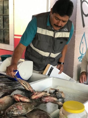 SSZ realiza revisiones en establecimientos que expenden pescados y mariscos