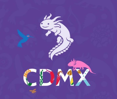 App CDMX permitirá tramitar y recibir a domicilio las placas conmemorativas del Mundial 2026