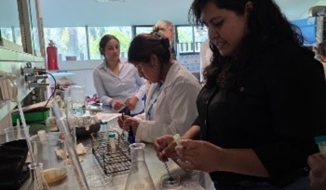 INIFAP capacita en microbiología del suelo para impulsar la ganadería regenerativa