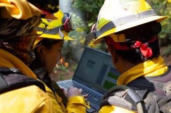 Conafor e Imades mantienen bajo control quema prescrita en Ejido Quesería para combatir plaga forestal