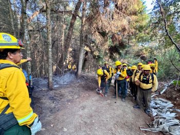 Quema prescrita en Colima avanza con resultados favorables y bajo control técnico