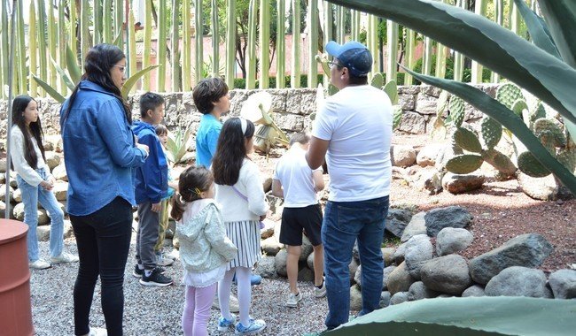 INBAL ofrece talleres artísticos para infancias este viernes 27 de febrero en tres museos