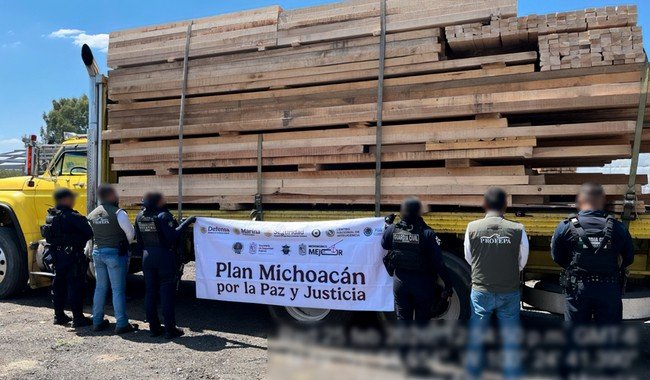 Operativo sorpresa contra tala ilegal en Michoac&aacute;n asegura 539 m³ de madera y detiene a 14 personas