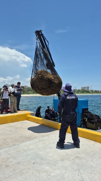 Gobierno de Quintana Roo intensifica acciones para contener el sargazo en los litorales