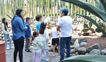 INBAL ofrece talleres artísticos para infancias este viernes 27 de febrero en tres museos