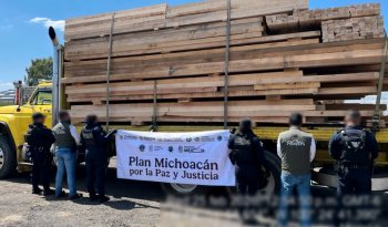 Operativo sorpresa contra tala ilegal en Michoacán asegura 539 m³ de madera y detiene a 14 personas