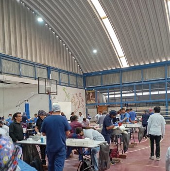 Secretaría de Salud de Guanajuato realiza 264 esterilizaciones caninas y felinas en Salvatierra