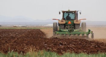 Inicia ciclo agrícola primavera-verano en Chihuahua, donde se concentra más del 90% de la producción