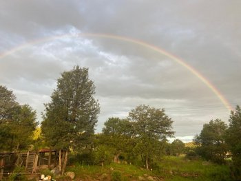 Protección Civil emite alerta amarilla por vientos fuertes y lluvias por frente frío 40 en Chihuahua
