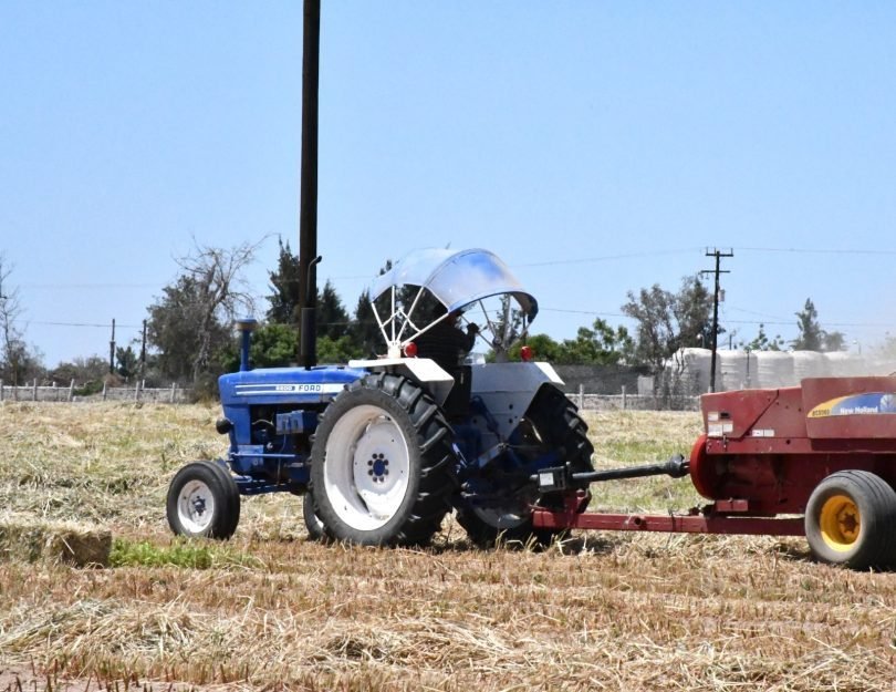 Gobierno estatal prepara siembra de maíz y sorgo forrajero en vivero de Valle de Santo Domingo para mitigar efectos de sequía