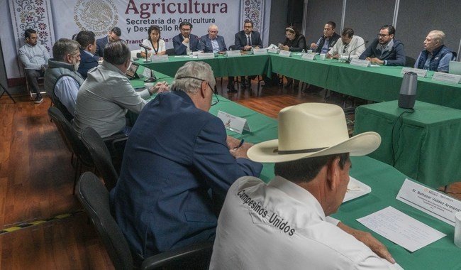 Gobierno de México y Sinaloa acuerdan compra histórica de maíz con precio base de 65 dólares por tonelada