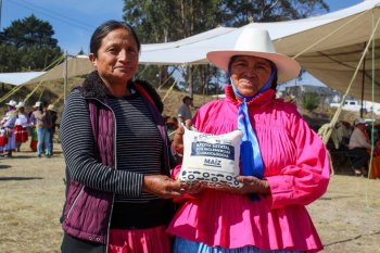 Entregan más de 700 toneladas de maíz a productores afectados por clima en Amealco