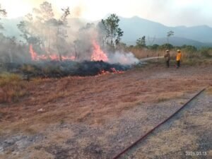 Bomberos combaten incendio forestal en la Autopista del Sol a la altura de El Ocotito