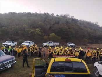 Autoridades y voluntarios combaten incendio en Francia Chica, Ciudad del Maíz