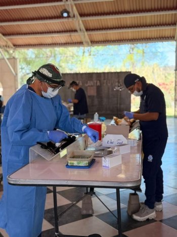 Secretaría de Salud de Guanajuato realiza jornada de esterilización gratuita en Jerécuaro