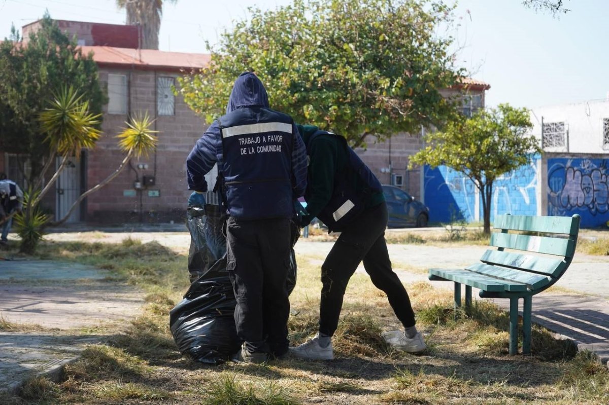 Justicia C&iacute;vica en Quer&eacute;taro reporta aumento del 13% en faltas administrativas durante febrero de 2026