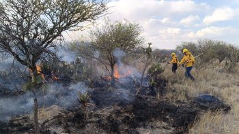 Autoridades estatales y federales refuerzan estrategias contra incendios forestales en San Luis Potosí
