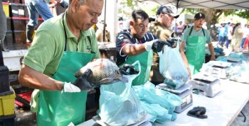 Gobierno de Tabasco inicia rehabilitación integral de seis sistemas de bombeo en Cárdenas con inversión de más de 39 mdp