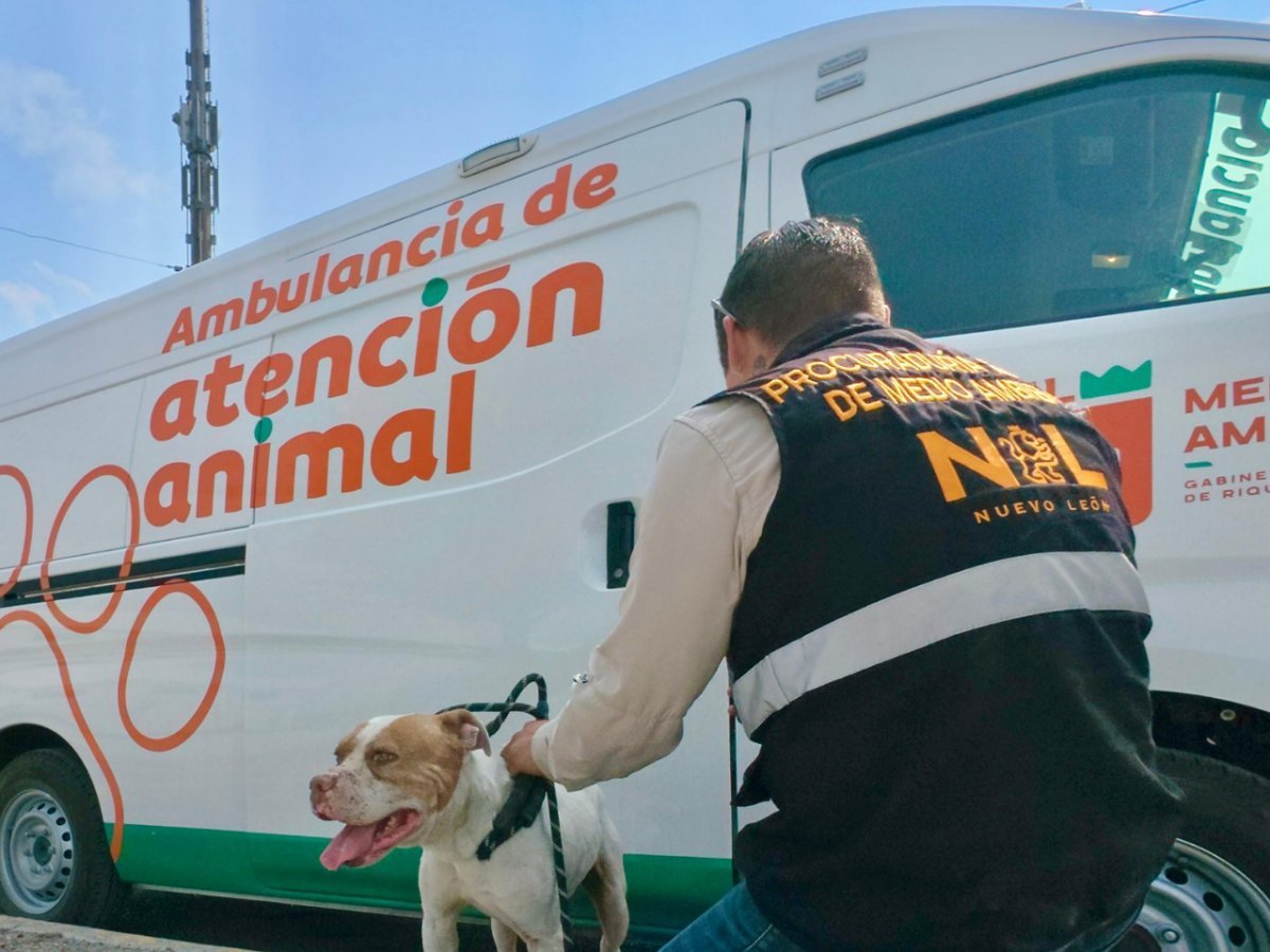 Autoridades de Nuevo Le&oacute;n atienden denuncia por presunto maltrato animal en Guadalupe