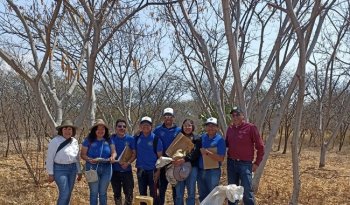 INIFAP capacita a estudiantes de maestría en identificación y manejo de especies arbóreas del semiárido guanajuatense