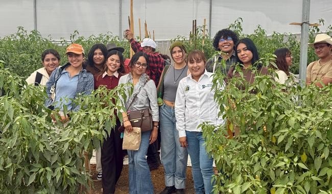 INIFAP, ITVO y SABROCAMPO unen ciencia y agricultura en evento 'Del investigador al productor'