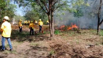 Gobierno de Colima activa brigada estatal contra incendios forestales para temporada de sequía