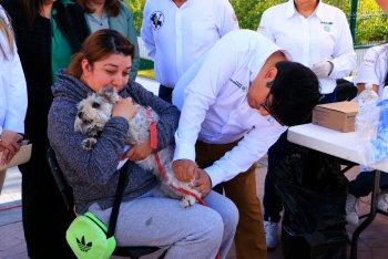 Villa de Pozos aplica 400 vacunas antirrábicas y realiza 32 esterilizaciones en mascotas