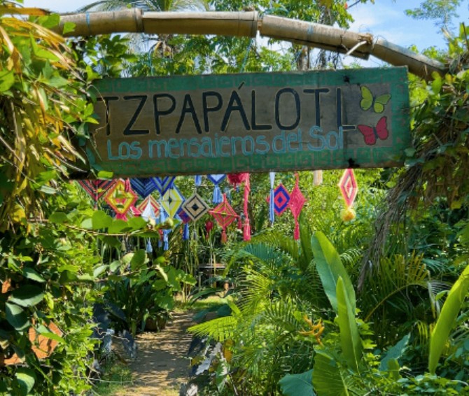 Mariposario Itzpapálotl, un santuario natural para conectar con la biodiversidad en Acapulco